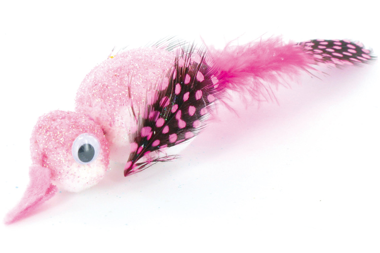 Oiseaux