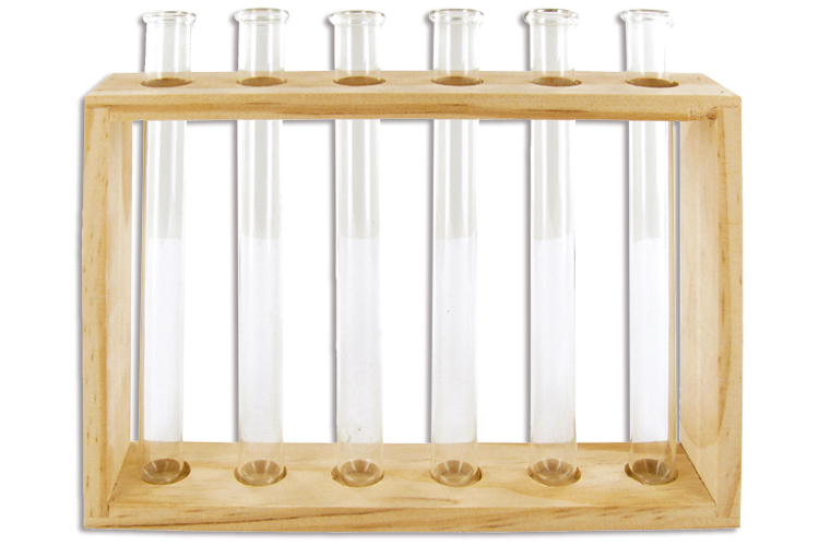 Set de 6 soliflores en verre, avec support en bois