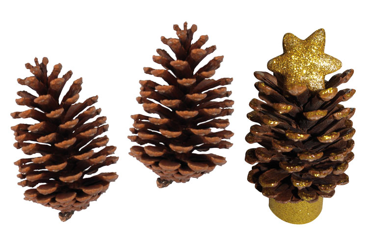 Grandes Pommes De Pin Lot De 6 Decorations En Bois 10 Doigts Grandes Pommes De Pin Lot De 6 Decorations En Bois 10 Doigts