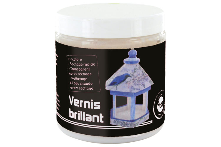 Vernis brillant - 250 ml - Vernis protecteur - 10 Doigts