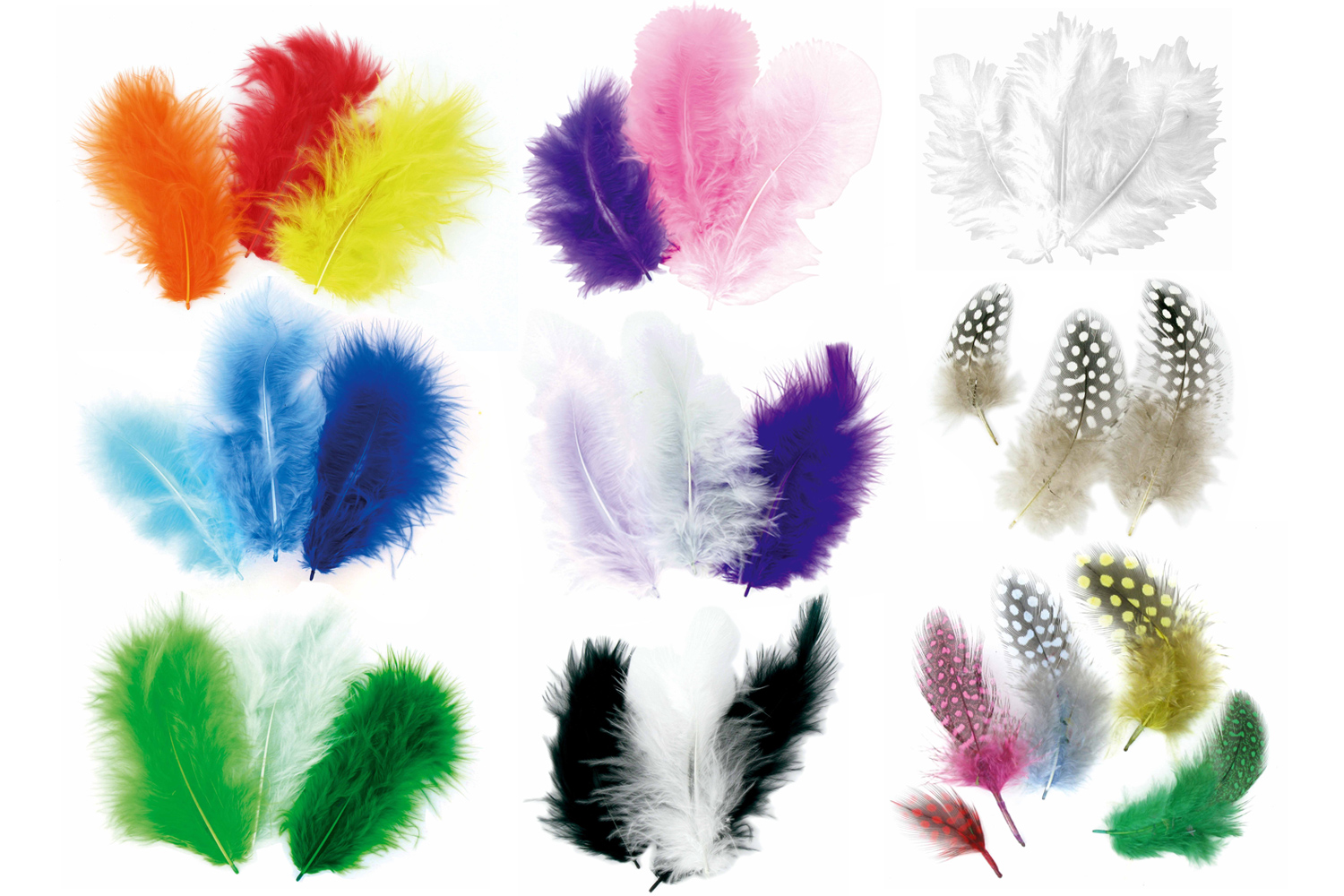 Plumes Camaïeu De Couleurs Au Choix