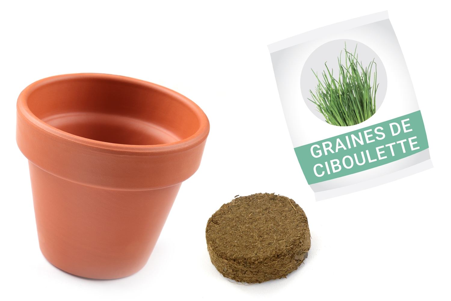 Kit 12 pots de Ciboulette à planter - Graines à planter - 10 Doigts