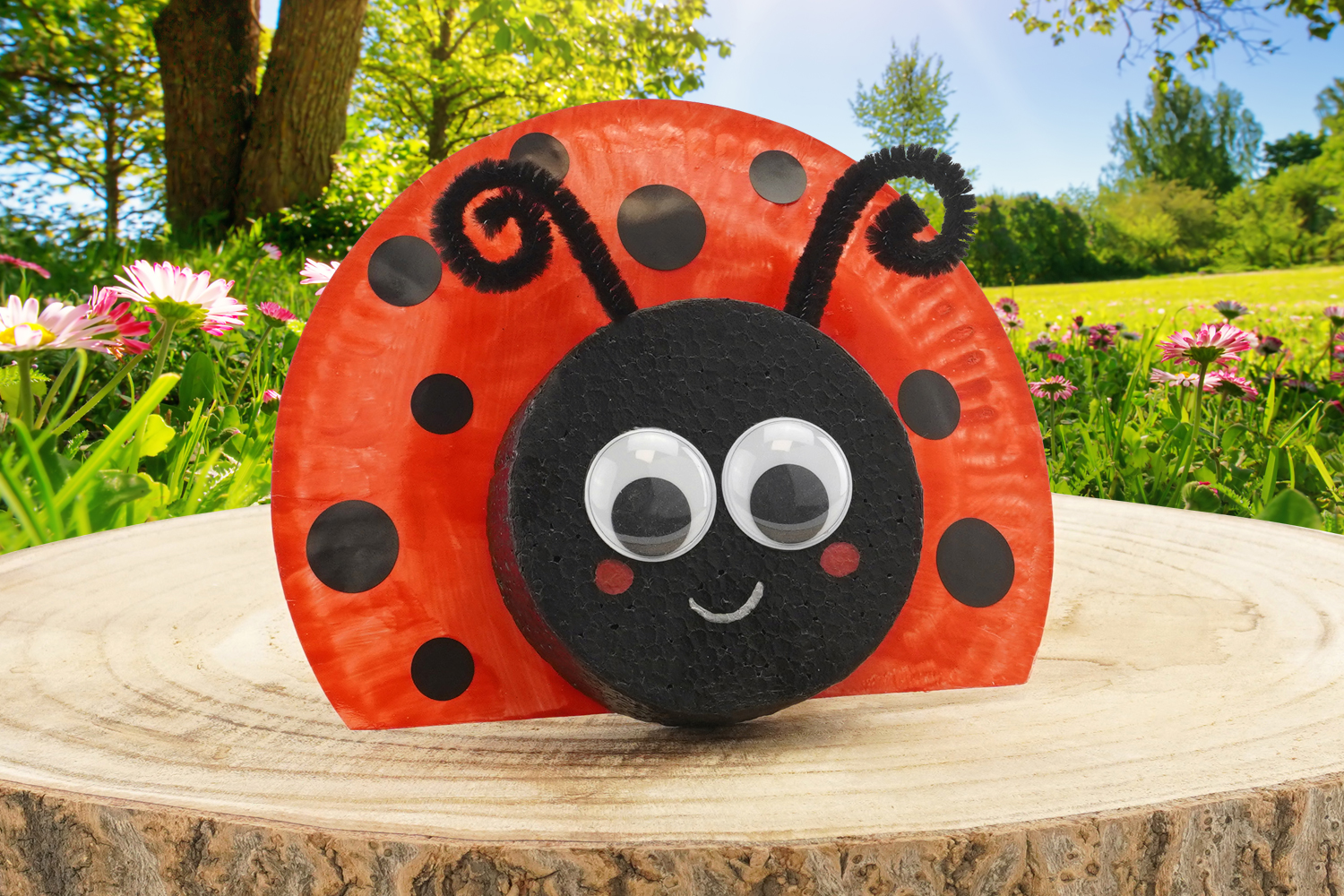 Coccinelle avec une assiette en carton