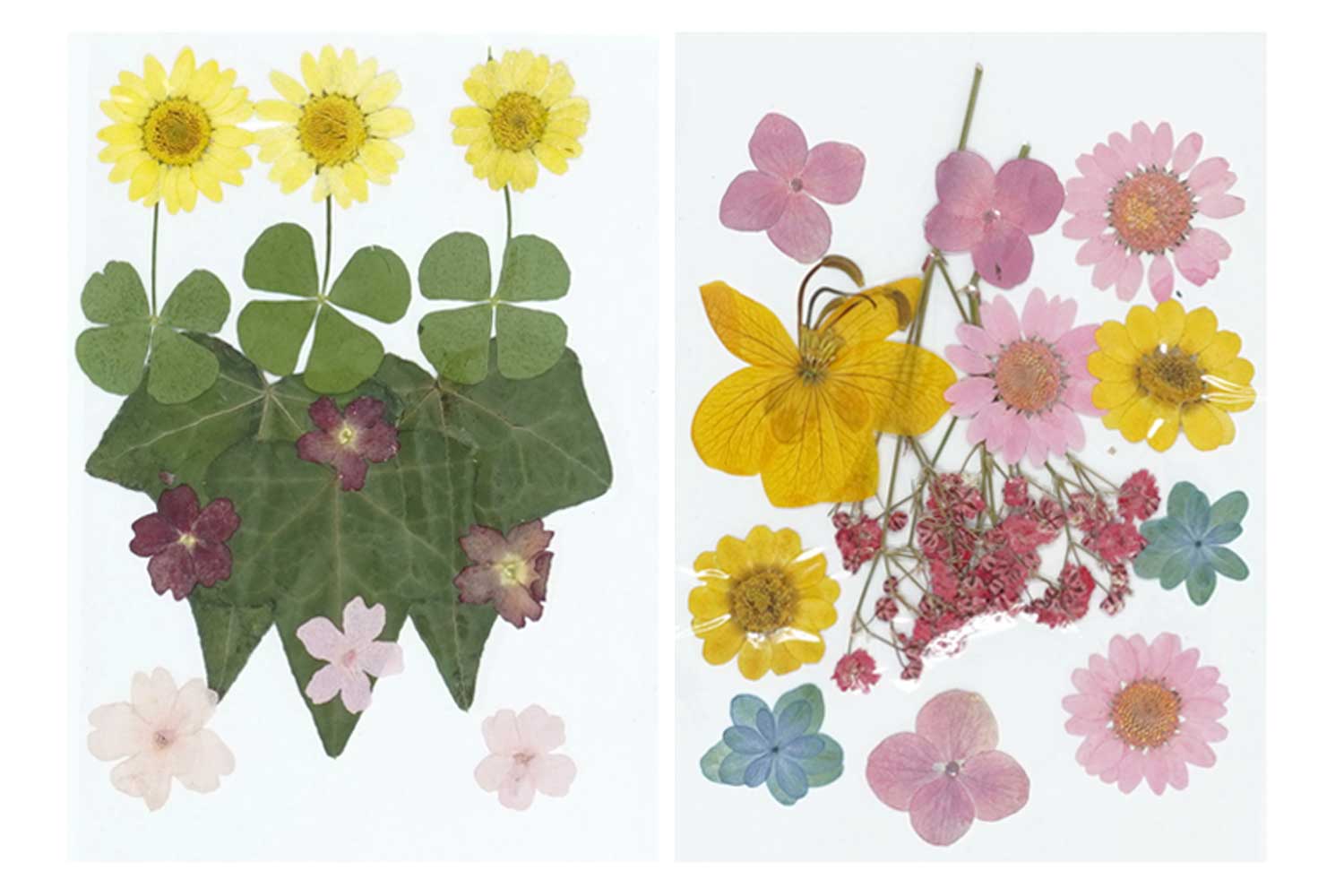 Trèfle 4 feuilles - Fournitures - cours et kits - Art floral et