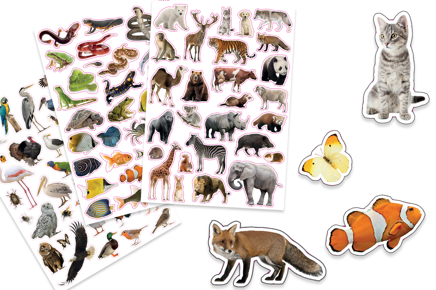 Gommettes animaux réalistes - 96 pcs