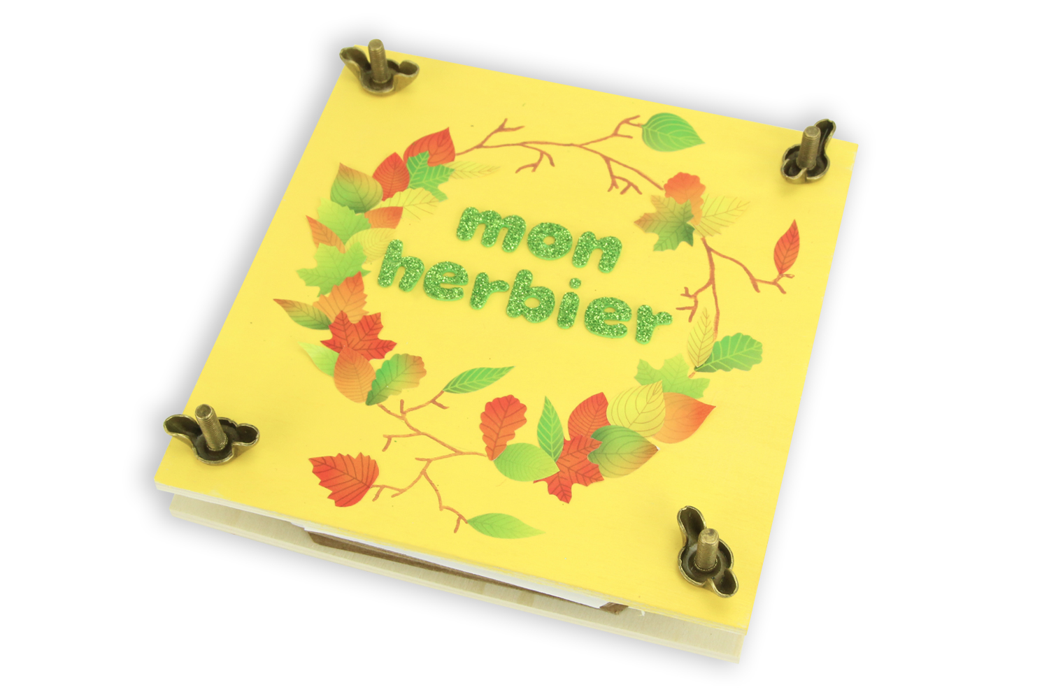 Bricolux  Grossiste en fournitures scolaires. Gommettes feuilles d'arbres  automne/printemps, les 960