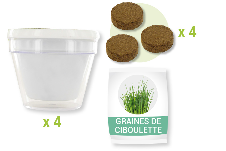 Têtes à gazon + seaux en métal - Lot de 4 - Graines à planter - 10 Doigts