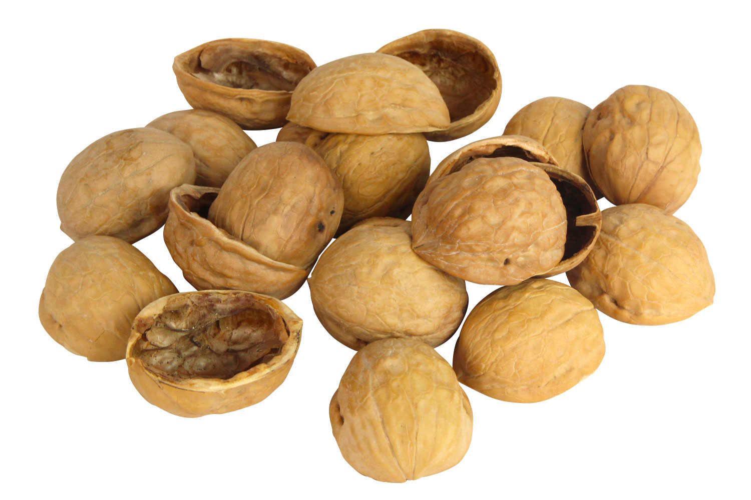 Demi Coquilles De Noix 50 Pieces Fleurs Sechees Pommes De Pin 10 Doigts