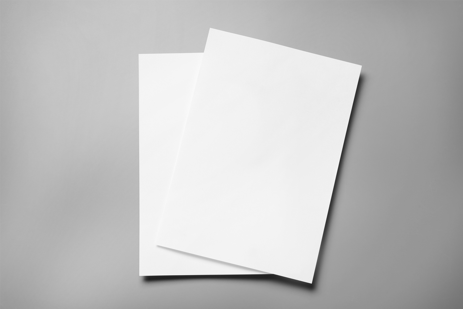 Carte en papier bristol - 50 feuilles - Ramettes de papiers - 10 Doigts