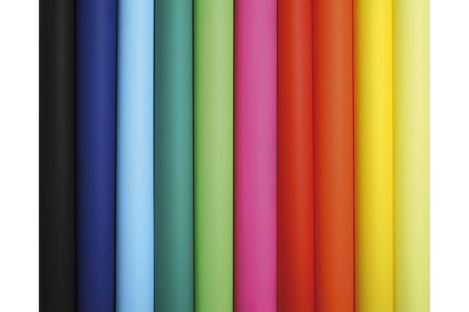 Lot De 10 Classeurs à Feuilles Mobiles A4 Durable - Couleurs Assorties, Avec Couverture Transparente