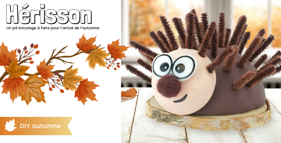 DIY hérisson automne 2023
