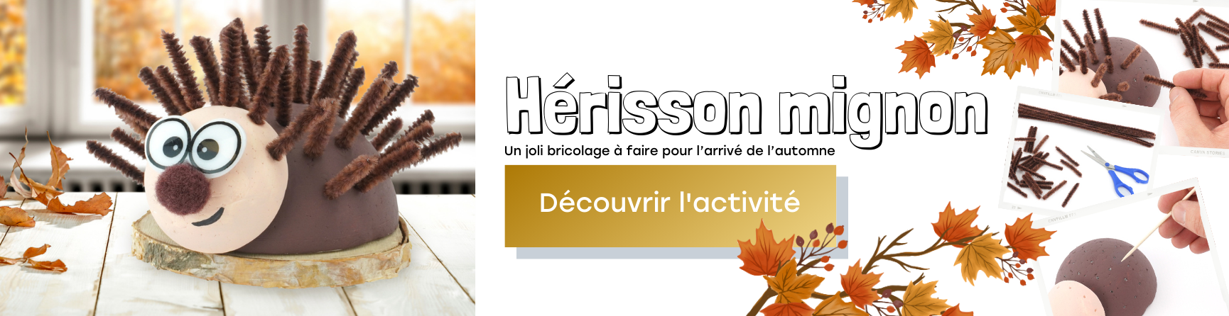 DIY hérisson automne 2023