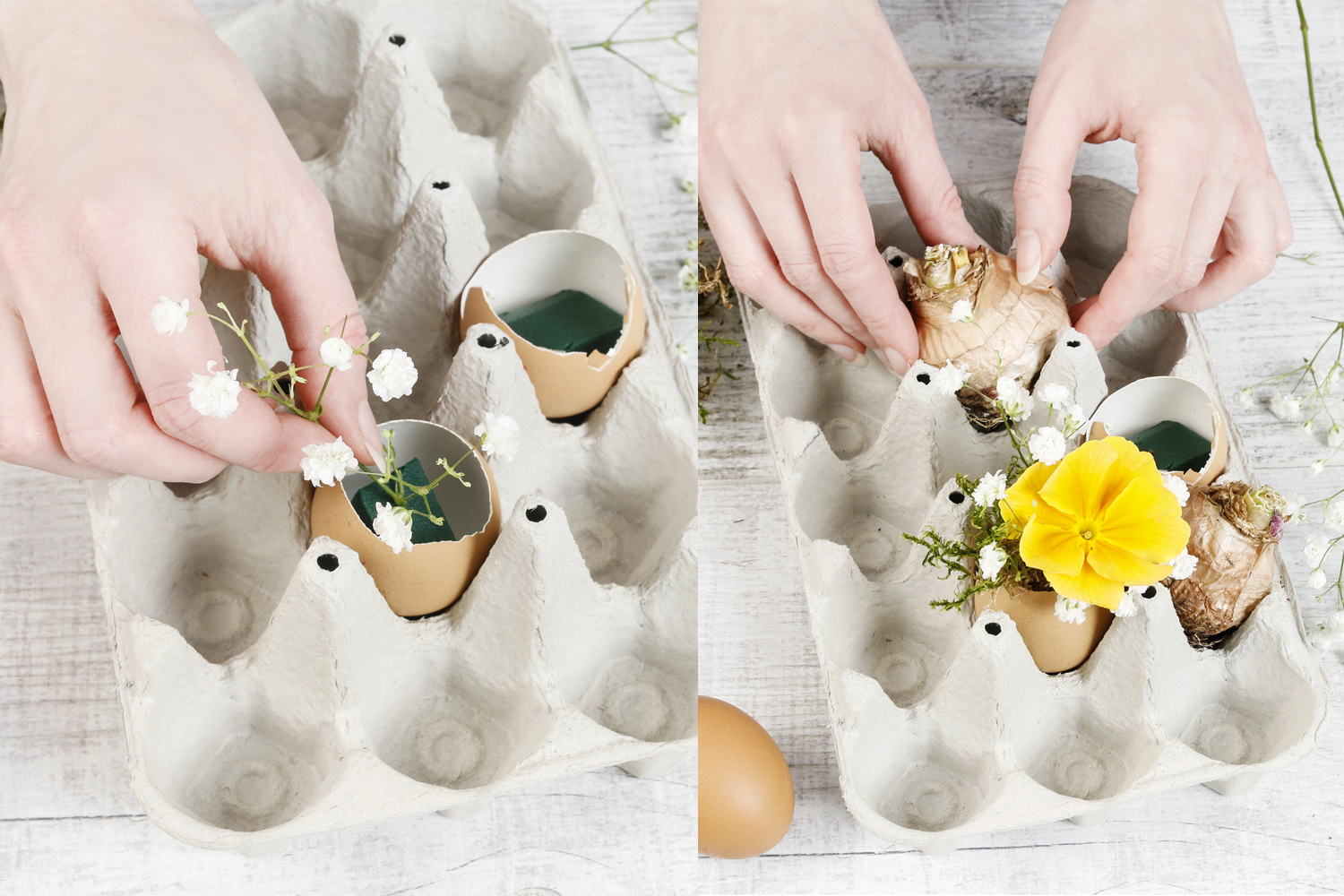 Planter les fleurs