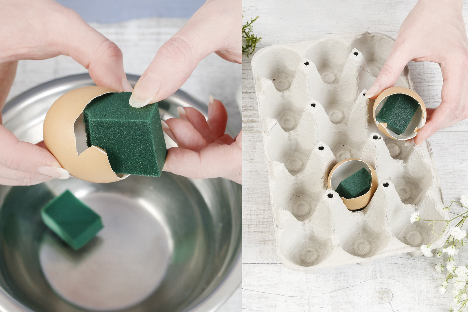 Préparer les oeufs