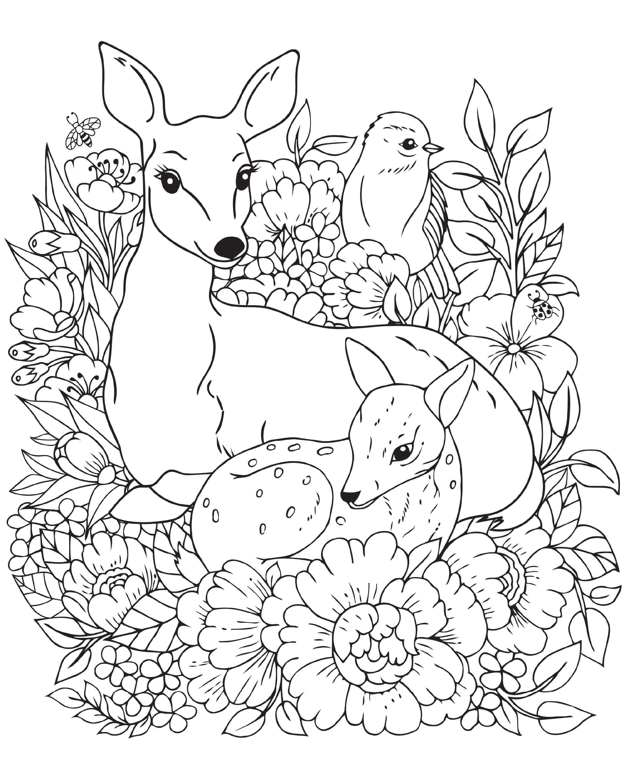 Dessin Animaux De La Forêt Facile Coloriage - Coloriages animaux : Animaux-foret6 - 10 Doigts