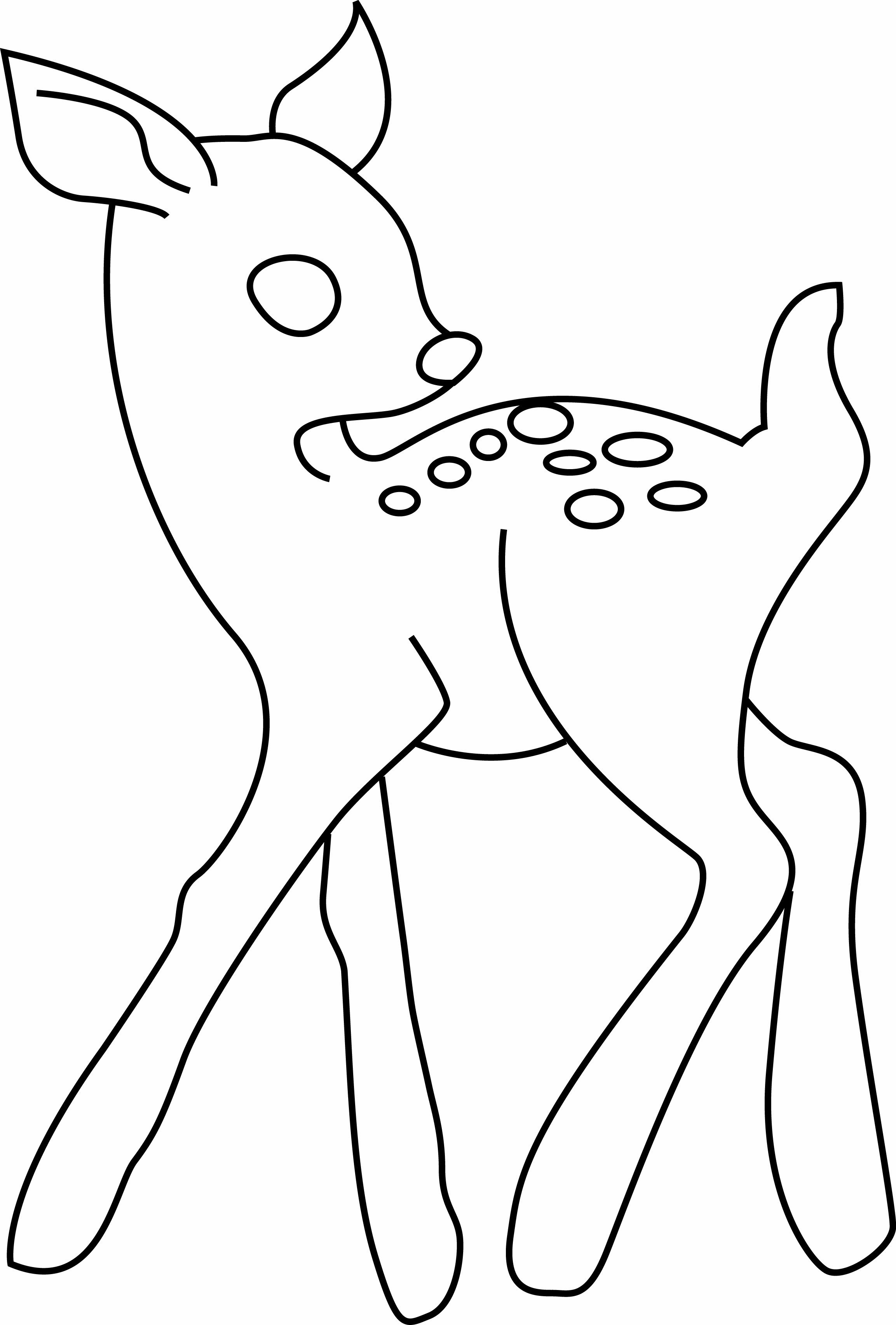 Animaux De La Foret Dessin Facile Coloriage - Coloriages animaux : Biche 02 - 10 Doigts