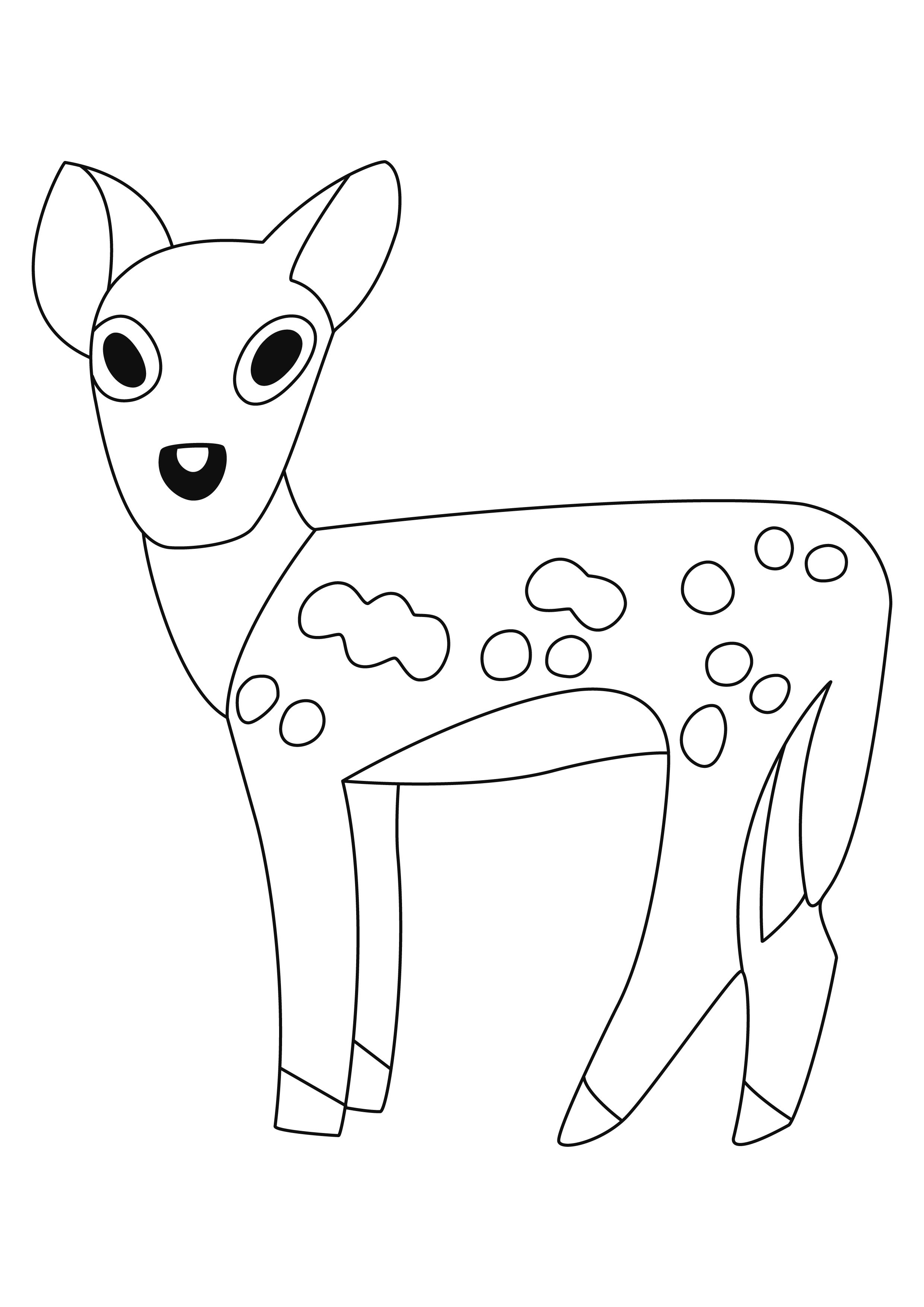 Animaux De La Foret Dessin Facile Coloriage - Coloriages animaux : Biche 03 - 10 Doigts
