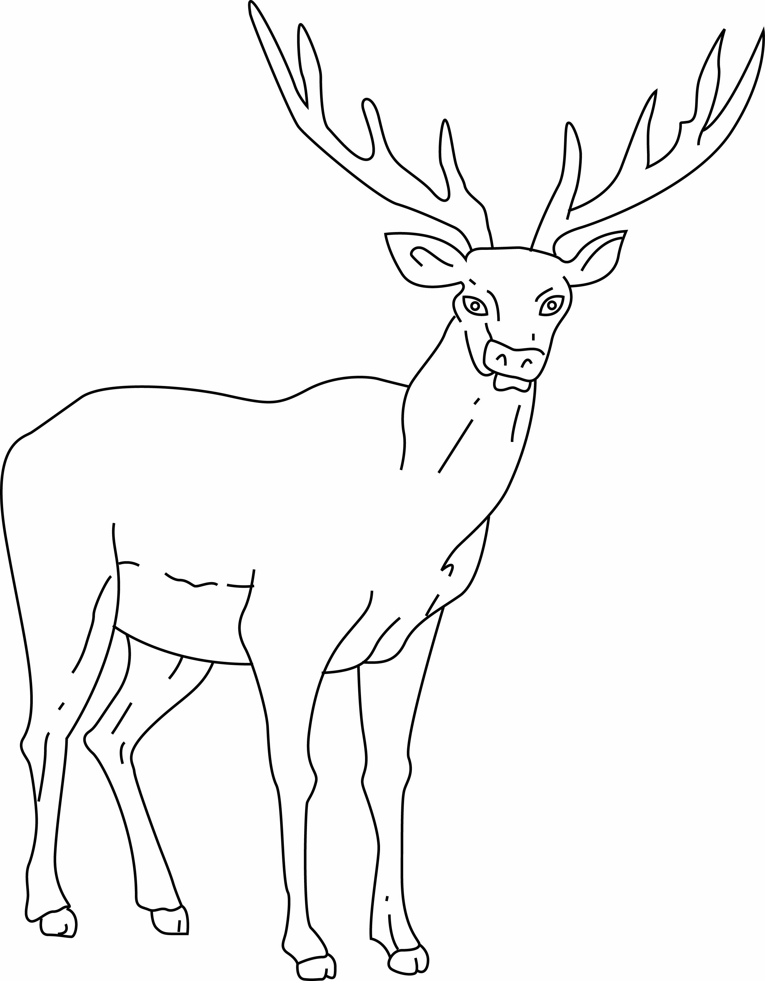 Le Coloriage du Cerf : Un Voyage Créatif pour Tous