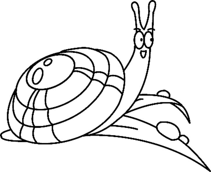 Coloriage à imprimer - Coloriages animaux : Escargot 01 - 10 Doigts, حجم الصورة 727x595