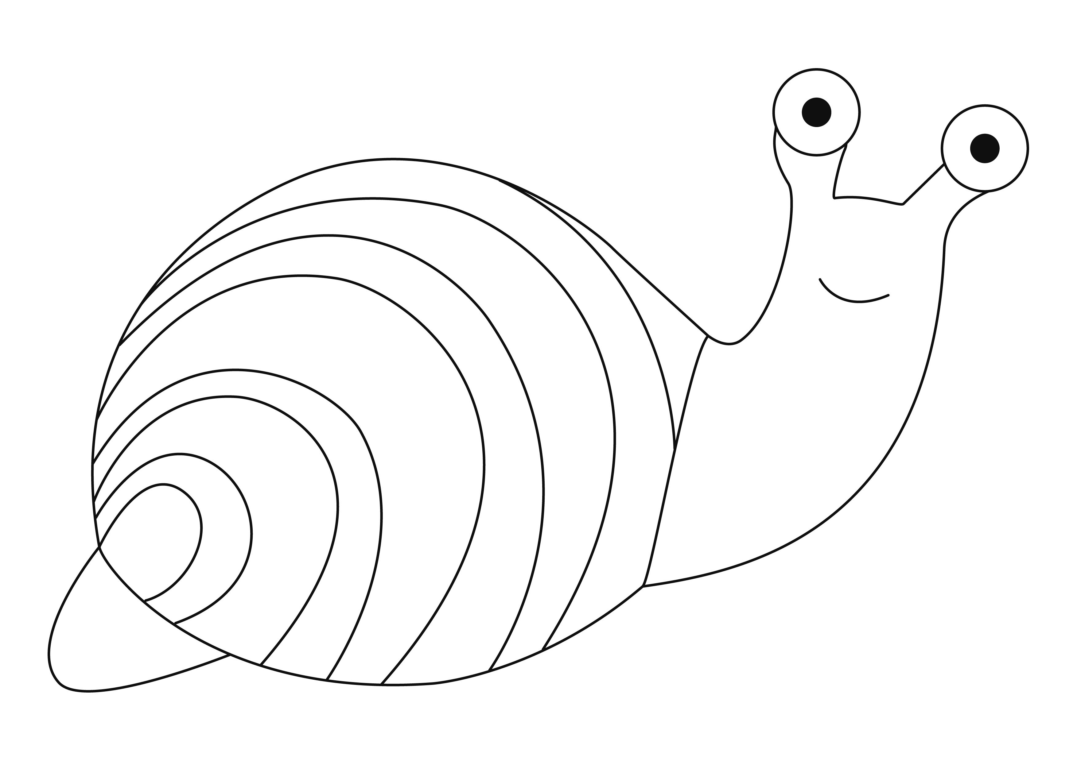 Dessin D escargot Rigolo A Imprimer Coloriage - Coloriages animaux : Escargot 04 - 10 Doigts