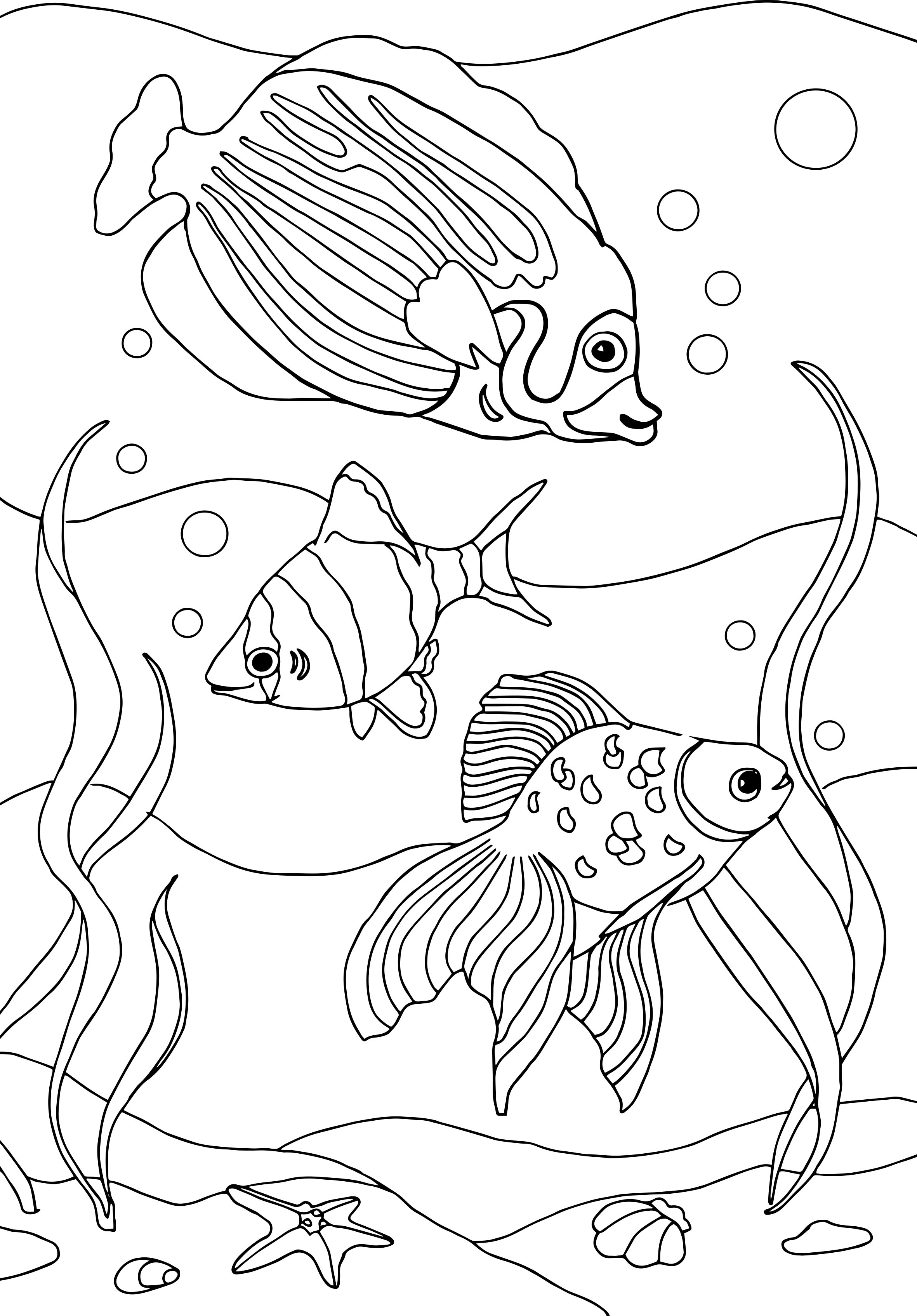 Coloriage Animaux Marins Maternelle Coloriage - Coloriages animaux : Animaux-marins8 - 10 Doigts