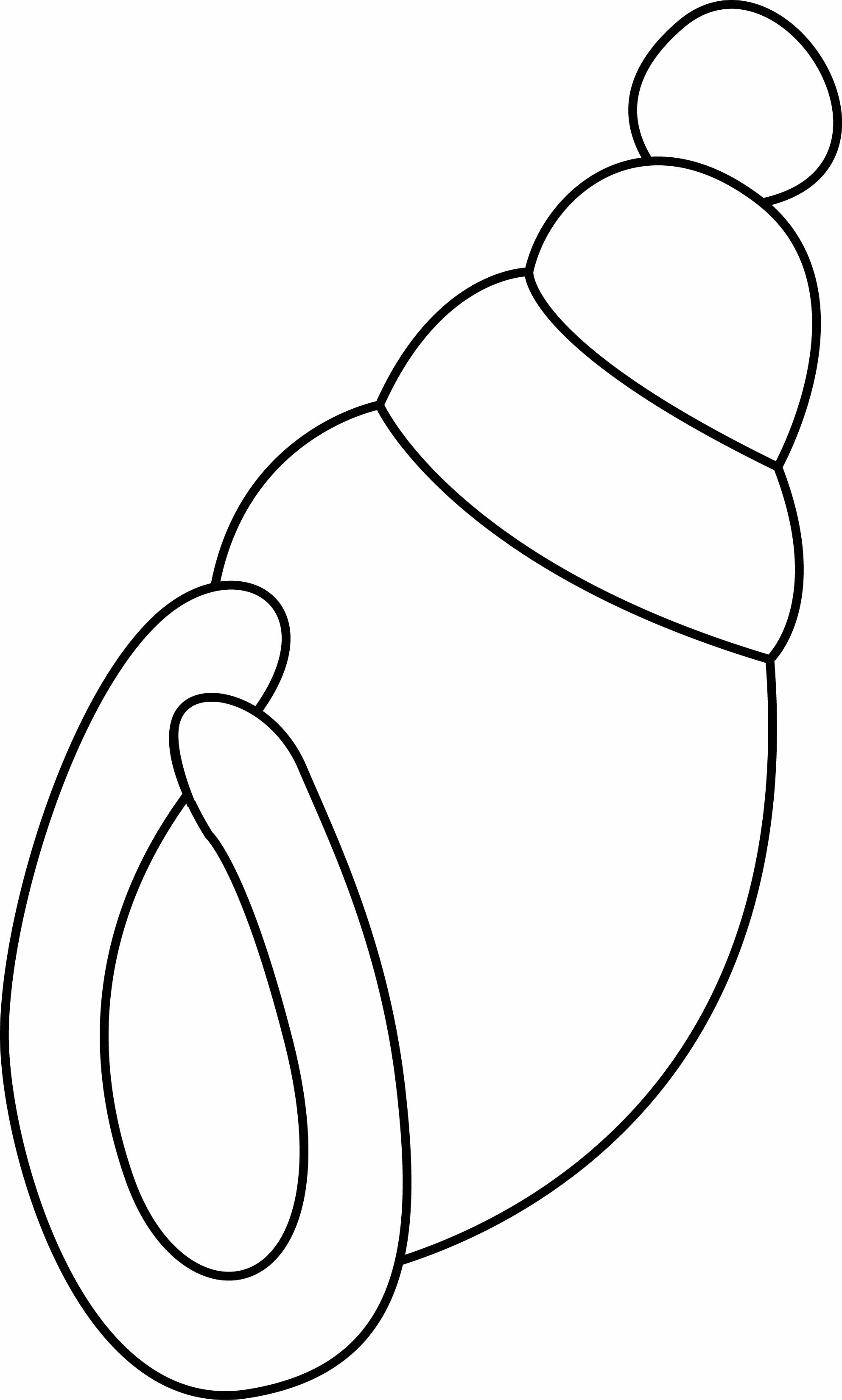 Coloriage Coloriages Animaux Coquillage 05 10 Doigts