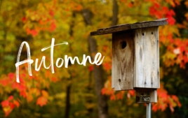 Loisirs créatifs Automne - Événements - 10doigts.fr