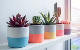 Le Béton - Activités de moulage - 10doigts.fr