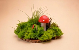 Décors nature - Matériaux et produits naturels - 10doigts.fr