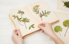 Je fais un Herbier - Activités au Jardin - 10doigts.fr