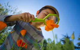 Activités au Jardin - Activités Créatives - 10doigts.fr
