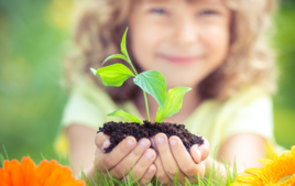 Je plante des graines - Activités au Jardin - 10doigts.fr