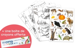 Supports à colorier - Coloriage et Dessin - 10doigts.fr