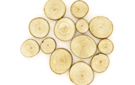 Rondins de bois à décorer - Accessoires en bois - 10doigts.fr