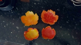 Automne - 10doigts.fr