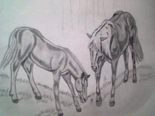 Chevaux - Dessin - 10doigts.fr