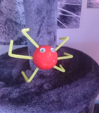 Araignée - Créations d'enfant - 10doigts.fr