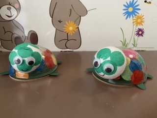 Les tortues - 10doigts.fr