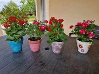 Pots de fleurs - 10doigts.fr