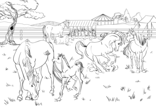 Animaux-ferme10 - Coloriages animaux - Coloriages - 10doigts.fr
