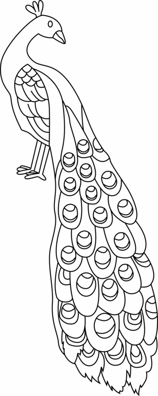 Paon01 - Coloriages animaux - Coloriages - 10doigts.fr