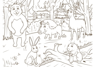 Animaux-foret2 - Coloriages animaux - Coloriages - 10doigts.fr