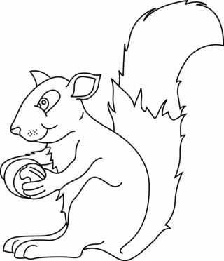 Ecureuil 03 - Coloriages animaux - Coloriages - 10doigts.fr