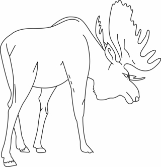 Elan 01 - Coloriages animaux - Coloriages - 10doigts.fr