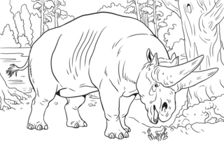 Animaux-savane10 - Coloriages animaux - Coloriages - 10doigts.fr