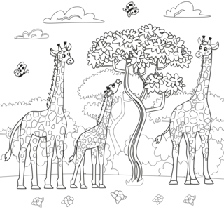 Animaux-savane12 - Coloriages animaux - Coloriages - 10doigts.fr