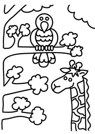 Girafe et oiseau - Coloriages animaux - Coloriages - 10doigts.fr