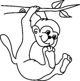 Singe 04 - Coloriages animaux - Coloriages - 10doigts.fr