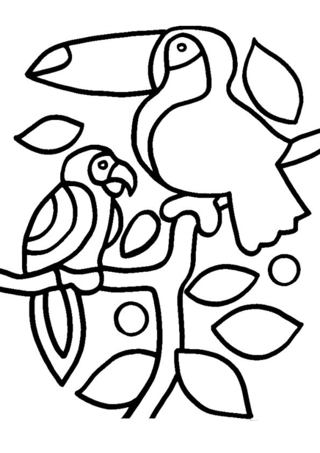 Toucan et perroquet 001 - Coloriages animaux - Coloriages - 10doigts.fr