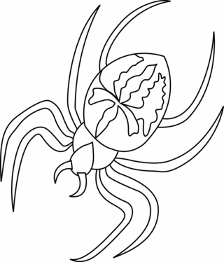 Araignée 01 - Coloriages animaux - Coloriages - 10doigts.fr
